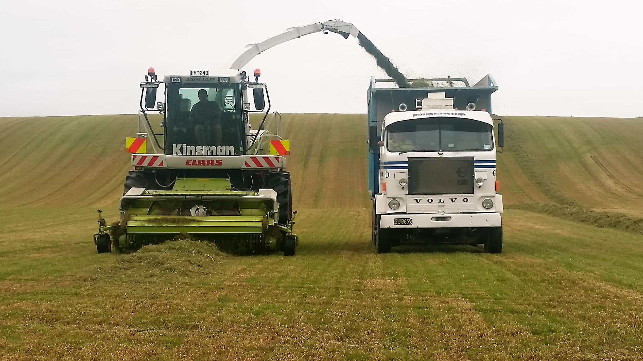 Silage machine moving grass into a bulk unit for cartage